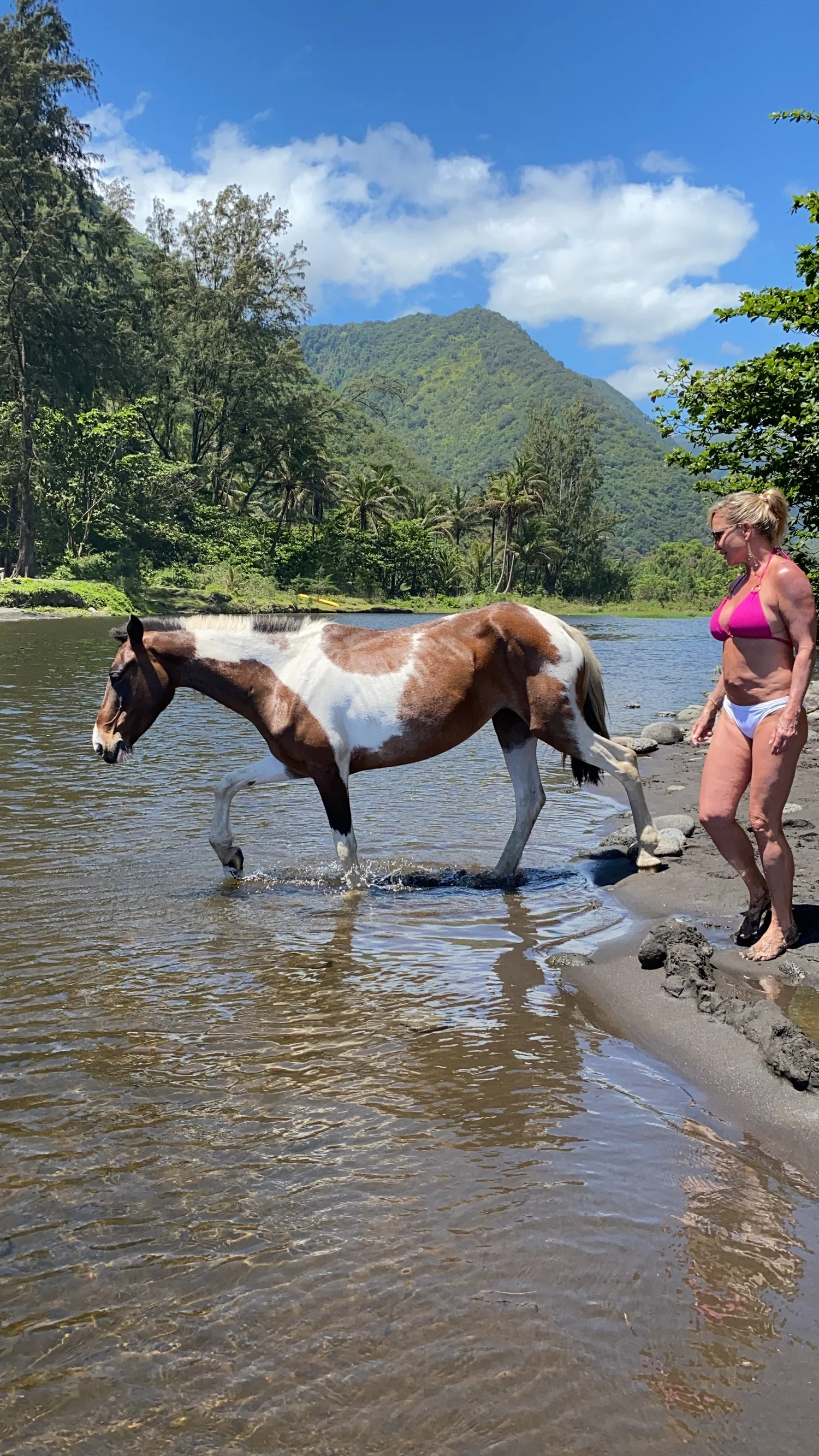 Hawaii retreat memory 4